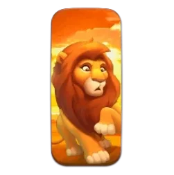 Lion
Safari